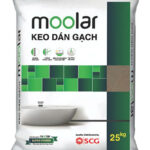 moolar keo dán gạch