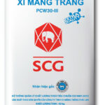 xi măng trắng SCG