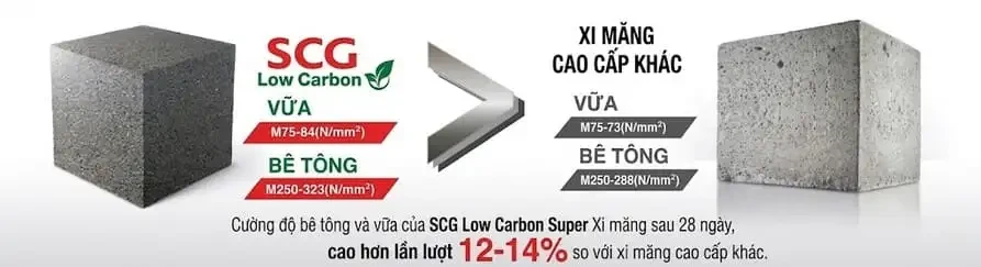 xi măng đổ bê tông