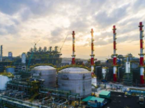 Giới thiệu 5 Giới thiệu Rectangle 4 20203657 https://scgvlxd.com/gioi-thieu/