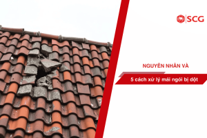 mai ngoi bi dot 2159a82a https://scgvlxd.com/tu-van/ Ngói bị bạc màu