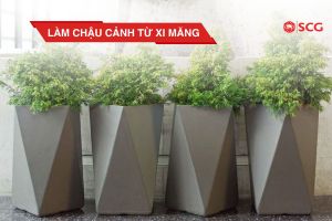 lam chau canh tu xi mang 27b06508 https://scgvlxd.com/cam-hung-thiet-ke/ mẫu nhà 2 tầng đẹp giá 1 tỷ
