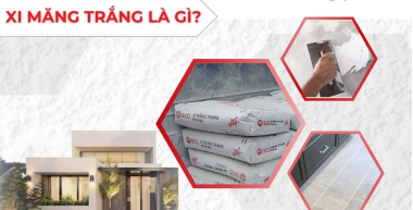 xmt1 2726f036 https://scgvlxd.com/author/scg/page/15/ tấm ốp kmew