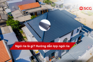 ngoi ria la gi 3ea7c8e5 https://scgvlxd.com/tu-van/ Ngói bị bạc màu