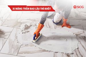 xi mang trang bao lau thi kho 4ccd6ae5 https://scgvlxd.com/tu-van/ xi măng trắng bao lâu thì khô