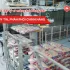 thumbnail dai ly xi mang tai dong nai 4ef66526 https://scgvlxd.com/1m2-vuong-bao-nhieu-vien-ngoi/ 1m2 vuông bao nhiêu viên ngói