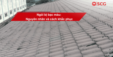 ngoi bi bac mau 531ba4da https://scgvlxd.com/author/scg/page/9/ công trình xanh