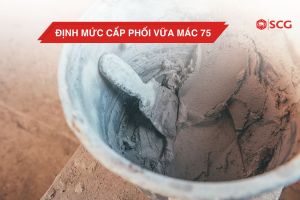 capphoi vua mac 75 643356db https://scgvlxd.com/tu-van/ xi măng trắng bao lâu thì khô