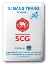 xi mang trang 2 6d988ca1 https://scgvlxd.com/san-pham/