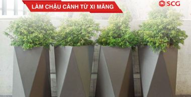lam chau canh tu xi mang 6eb89024 https://scgvlxd.com/author/scg/page/20/ các trường hợp không phải xin giấy phép xây dựng