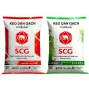 Keo dán gạch SCG