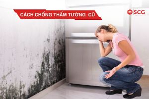 cach chong tham tuong cu 4 99d89c53 https://scgvlxd.com/tu-van/
