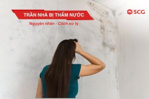 tran nha bi tham nuoc a046e8ff https://scgvlxd.com/tu-van/ Cách chống thấm tường ngoài trời