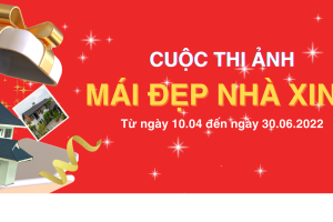 cuoc thi anh 1 a7455290 https://scgvlxd.com/hoat-dong-scg/page/2/