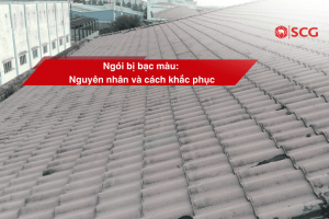 ngoi bi bac mau b1451085 https://scgvlxd.com/tu-van/ Ngói bị bạc màu