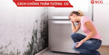 cach chong tham tuong cu 4 cd2f0ece https://scgvlxd.com/author/scg/page/17/ Xây nhà cần chuẩn bị những gì