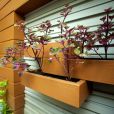 5 d0047287 https://scgvlxd.com/showroom-nha-vui-cong-trinh-su-dung-thanh-gia-go-scg-smartwood/