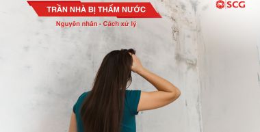 tran nha bi tham nuoc d49298e0 https://scgvlxd.com/author/scg/page/17/ Xây nhà cần chuẩn bị những gì