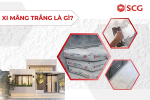 xmt1 e139d3f9 https://scgvlxd.com/tu-van/