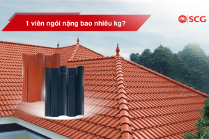 1 vien ngoi nang bao nhieu kg f507c5c0 https://scgvlxd.com/tu-van/ Ngói bị bạc màu