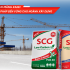 1m2 vuông bao nhiêu viên ngói? Cách tính số lượng ngói lợp cần mua chính xác 24 1m2 vuông bao nhiêu viên ngói? Cách tính số lượng ngói lợp cần mua chính xác xi mang xanh f80013ef https://scgvlxd.com/1m2-vuong-bao-nhieu-vien-ngoi/ 1m2 vuông bao nhiêu viên ngói
